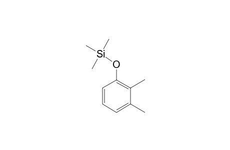 Phenol <2,3-dimethyl->, mono-TMS