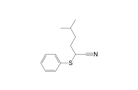 Hexanenitrile, 5-methyl-2-(phenylthio)-