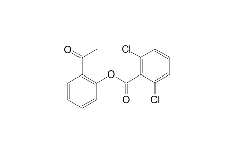 Benzoic acid, 2,6-dichloro-, 2-acetylphenyl ester