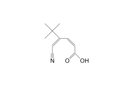 cis, cis-1-Carboxy-3-tert-butyl-4-cyano-1,3-butadiene