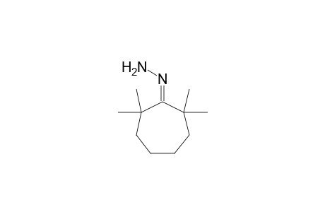 2,2,7,7-Tetramethylcycloheptanone-hydrazone