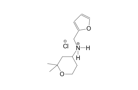 N-(2-furylmethyl)-2,2-dimethyltetrahydro-2H-pyran-4-aminium chloride