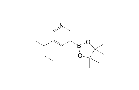 3-(sec-Butyl)-5-(4,4,5,5-tetramethyl-1,3,2-dioxaborolan-2-yl)pyridine