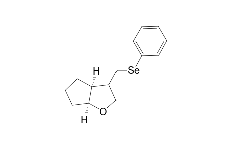 4-[(Phenylseleno)methyl]-2-oxabicyclo[3.3.0]octane