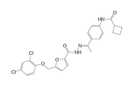 N-[4-((1E)-N-{5-[(2,4-dichlorophenoxy)methyl]-2-furoyl}ethanehydrazonoyl)phenyl]cyclobutanecarboxamide