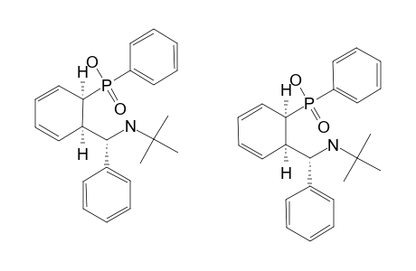 (1SR,6RS,7SR)-1-[[6-(TERT.-BUTYLAMINO)-BENZYL]-2,4-CYCLOHEXADIENYL]-PHENYLPHOSPHINIC-ACID