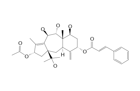 2-DEACETOXY-7,9,10-TRIDEACETYL-11-(15->1)-ABEO-TAXININE-J