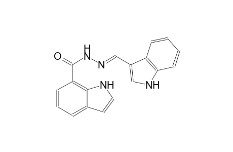N'-[(E)-1H-indol-3-ylmethylidene]-1H-indole-7-carbohydrazide