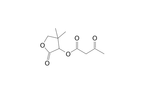 2-Oxo-4,4-dimethyl-3-furanyl 3-oxobutanoate