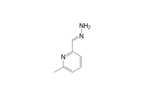 2-Pyridinecarboxaldehyde, 6-methyl-, hydrazone