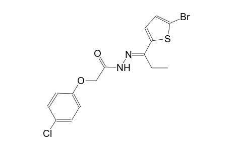 N'-[(E)-1-(5-bromo-2-thienyl)propylidene]-2-(4-chlorophenoxy)acetohydrazide