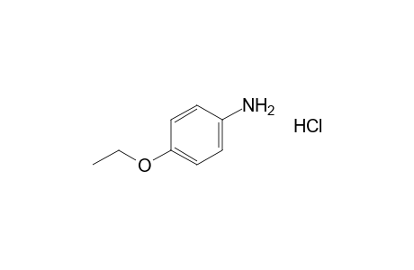 p-phenetidine, hydrochloride