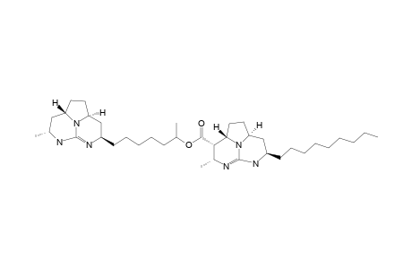 BATZELLADINE_F