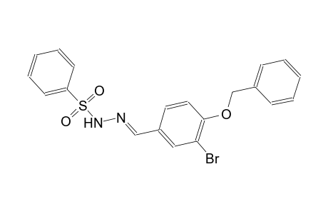 N'-{(E)-[4-(benzyloxy)-3-bromophenyl]methylidene}benzenesulfonohydrazide
