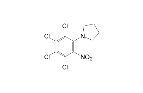 1-(2-nitro-3,4,5,6-tetrachlorophenyl)pyrrolidine