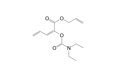 1-Alloxycarbonyl-1-(N,N-diethylcarbomoyl)-1,3-butadiene