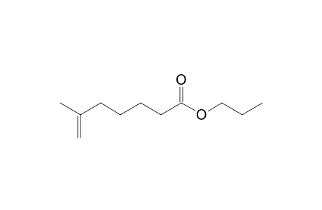 2-Methylethyl 6-methylhept-6-enoate