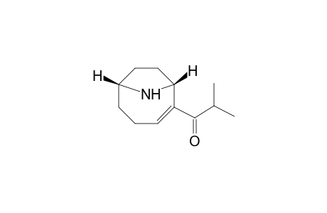 rac-(1R,6R)-iso-Propyl-anatoxin-a