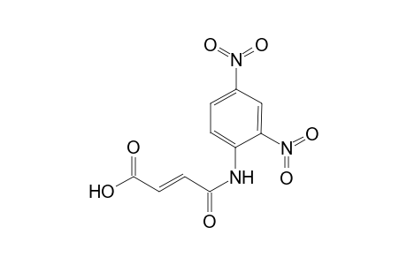 4-[(2',4'-Dinotrophenyl)amino]-4-oxo-2-butenoic Acid