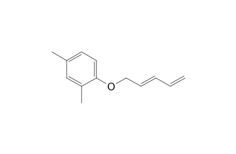 2,4-dimethylphenyl 2,4-pentadienyl ether
