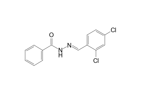 benzoic acid, (2,4-dichlorobenzylidene)hydrazide