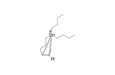 2,2-DI-N-BUTYL-2-STANNANORBORNYL-CATION