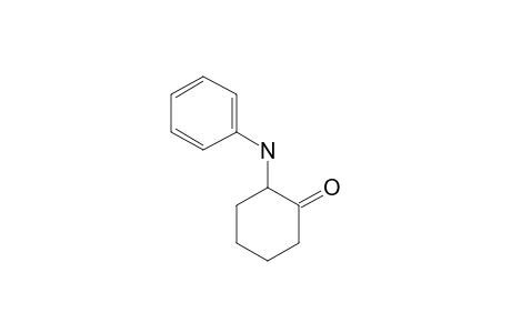 2-Anilinocyclohexanone