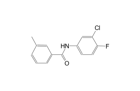 N-(3-chloro-4-fluorophenyl)-3-methylbenzamide