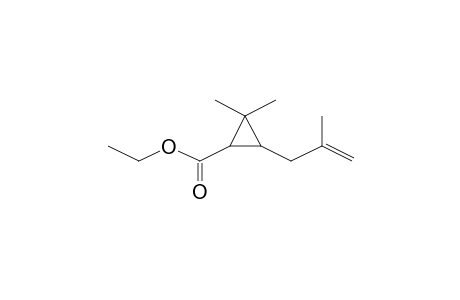 Ethyl 2,2-dimethyl-3-(2-methyl-2-propenyl)cyclopropanecarboxylate