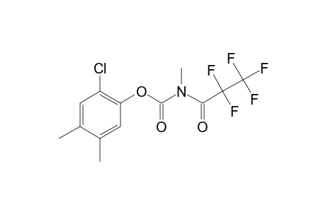 Carbanolate, N-pentafluoropropionyl-