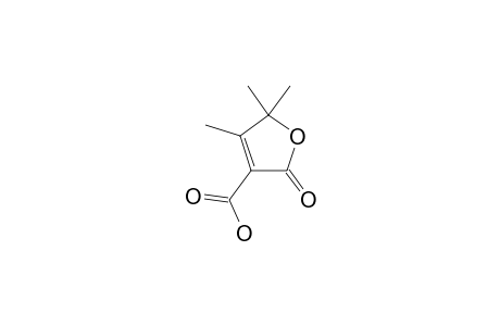 2-keto-4,5,5-trimethyl-3-furoic acid