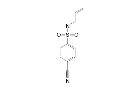 N-ALLYL-4-CYANOBENZENE-SULFONAMIDE