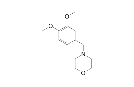 N-(3,4-DIMETHOXYBENZYL)-MORPHOLINE