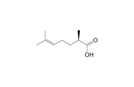(R)-(-)-2,6-Dimethylhept-5-enoic Acid