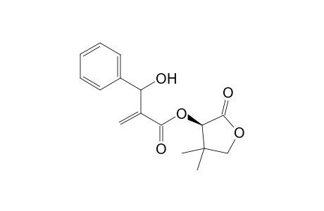 4,4-Dimethyl-2-oxotetrahydrofuran-3-yl 3-Hydroxy-2-methylene-3-phenylpropanoate