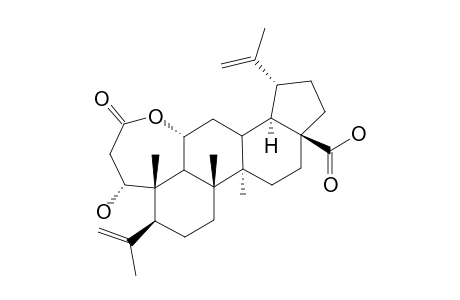 CHIISANOSGENIN