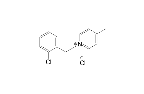 N-(2-Chlorobenzyl)-4-methylpyridinium Chloride