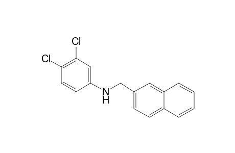 3,4-Dichloro-N-[2-naphthylmethyl]aniline