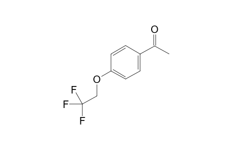 1-(4-(2,2,2-trifluoroethoxy)phenyl)ethanone