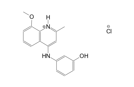 4-(3-hydroxyanilino)-8-methoxy-2-methylquinolinium chloride