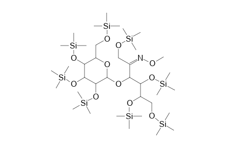 Turanose methoxime, octa-TMS, isomer 1