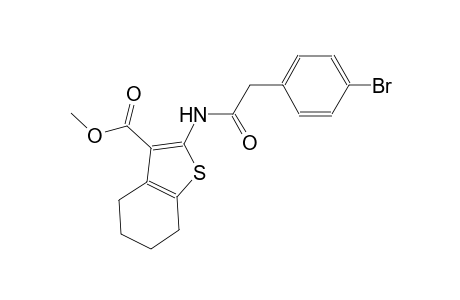 methyl 2-{[(4-bromophenyl)acetyl]amino}-4,5,6,7-tetrahydro-1-benzothiophene-3-carboxylate