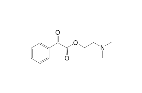 2'-Dimethylaminoethyl phenylglyoxylate