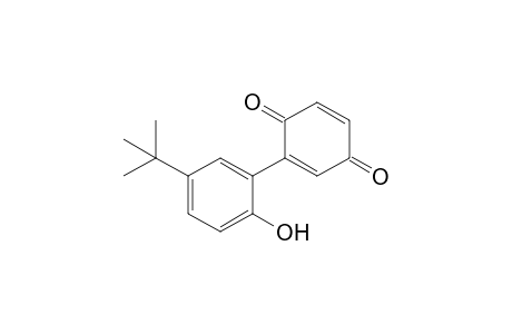 2-(5-tert-butyl-2-hydroxy-phenyl)-p-benzoquinone