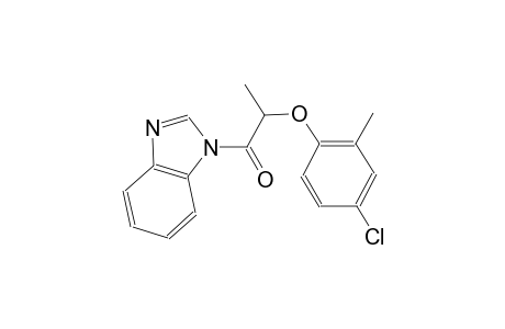 1-[2-(4-chloro-2-methylphenoxy)propanoyl]-1H-benzimidazole