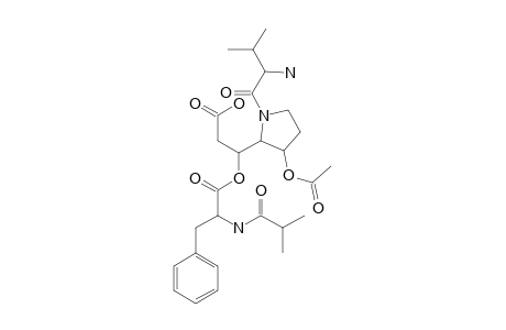 DETOXIN-C3