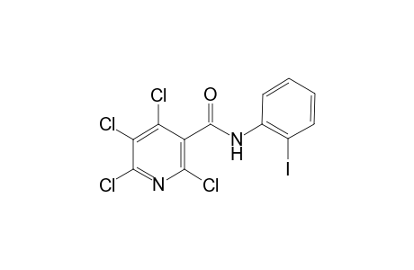 2,4,5,6-Tetrachloro-N-(2-iodo-phenyl)-nicotinamide