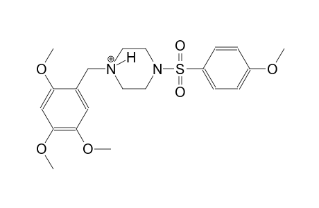 1-[(4-methoxyphenyl)sulfonyl]-4-(2,4,5-trimethoxybenzyl)piperazin-4-ium