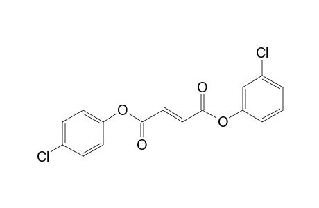 Fumaric acid, 4-chlorophenyl 3-chlorophenyl ester