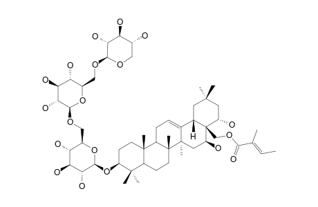 SITAKISOSIDE_XVI;3-O-BETA-D-XYLOPYRANOSYL-(1->6)-BETA-D-GLUCOPYRANOSYL-(1->6)-BETA-D-GLUCOPYRANOSYL_28-O-TOGLOYL_CHICHIPEGENIN